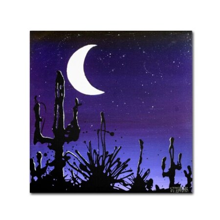 Roderick Stevens 'Desert Moon' Canvas Art,14x14